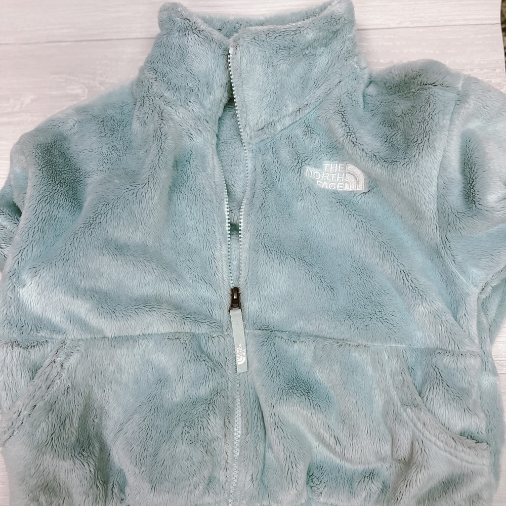 North face jacket